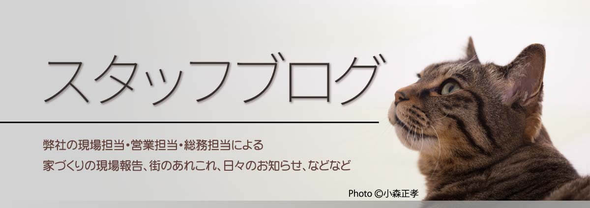 スタッフブログ　弊社の現場担当・営業担当・総務担当による、家づくりの現場報告、街のあれこれ、日々のお知らせ、などなど