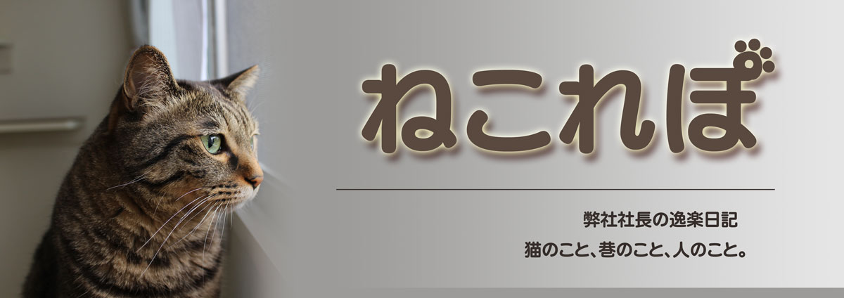 ねこれぽ：株式会社第一住宅の社長による逸楽日記。猫のこと、巷のこと、人のこと。