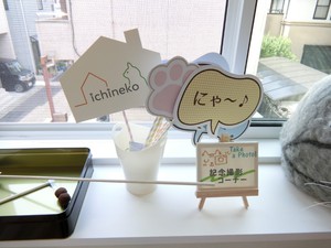 猫住宅 見学会の様子