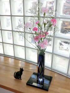 猫とアロマ