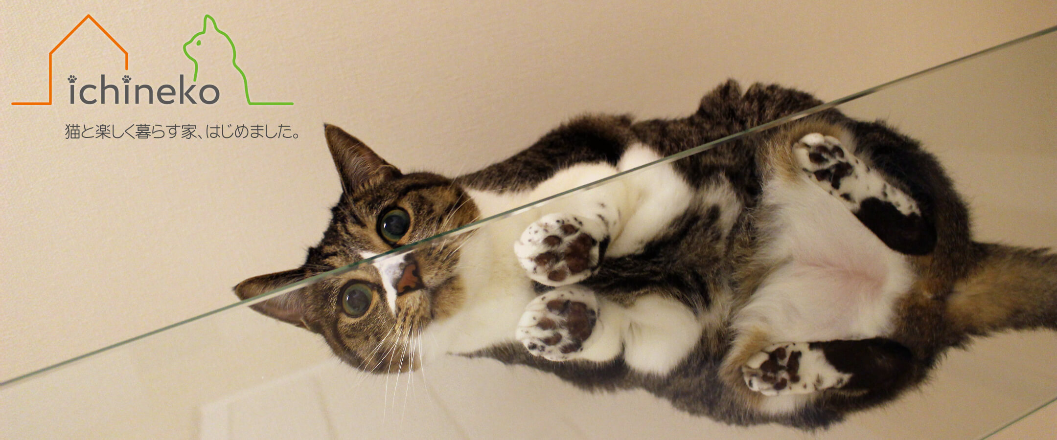 猫と暮らす家 はじめました 株式会社第一住宅 新築 賃貸 リフォーム 猫と暮らす家 はじめました 株式会社第一住宅 新築 賃貸 リフォーム