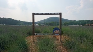 顔はめのゲート