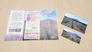 千年の苑ラベンダー園