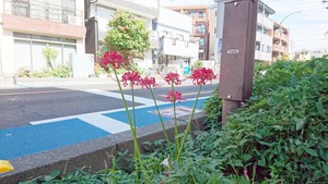 会社の前