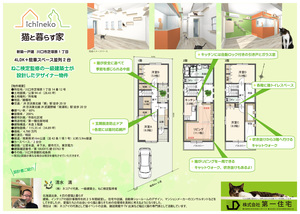 チラシ裏面