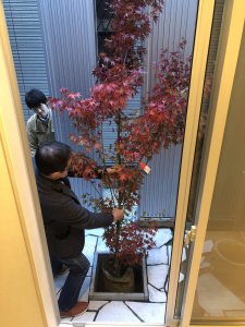 設置中