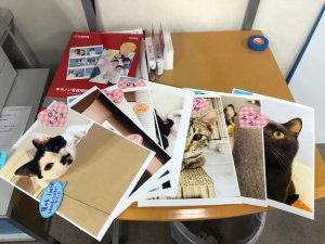 写真展