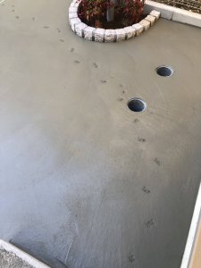 肉球