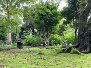 緑豊かな六義園