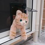 キャティオから