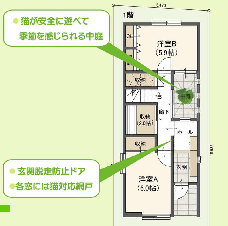 キャティオ