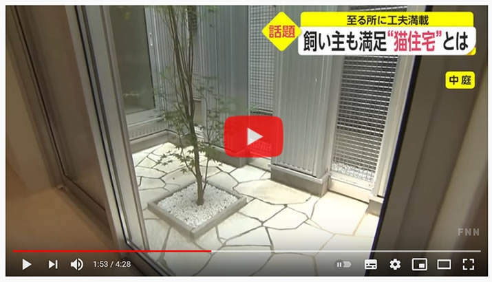 キャティオ 動画