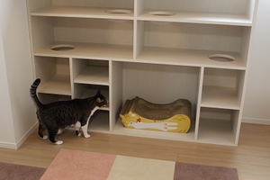猫と暮らす家具
