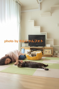猫とゴロゴロ