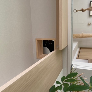 猫穴からのぞく猫
