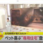 2021-05-21 FNN it! 放送サムネイル