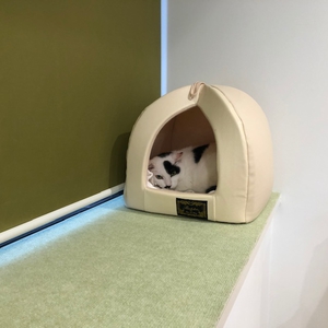 リラックスする猫