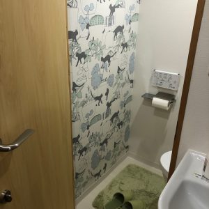 人間用のトイレは猫柄のクロス