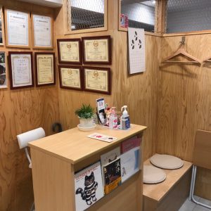 老猫ホーム＆猫ホテル　受け付け
