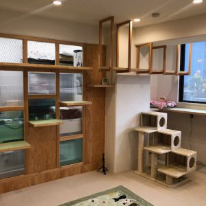 老猫のために設計されたキャットウォーク
