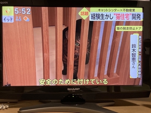 脱走防止ドアと猫