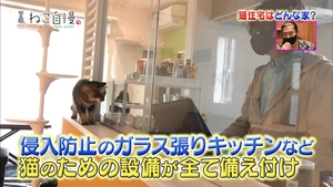 猫と暮らす家 テレビ取材画像3