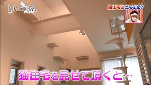 猫と暮らす家 テレビ取材画像2