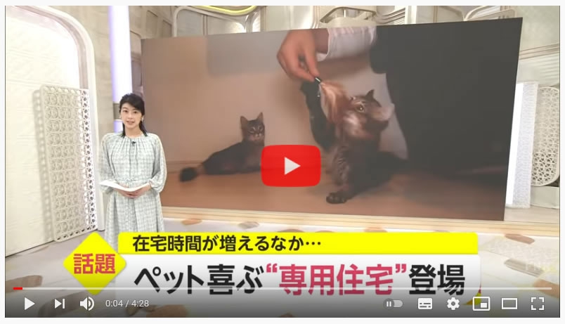 猫と暮らす家 テレビ取材画像