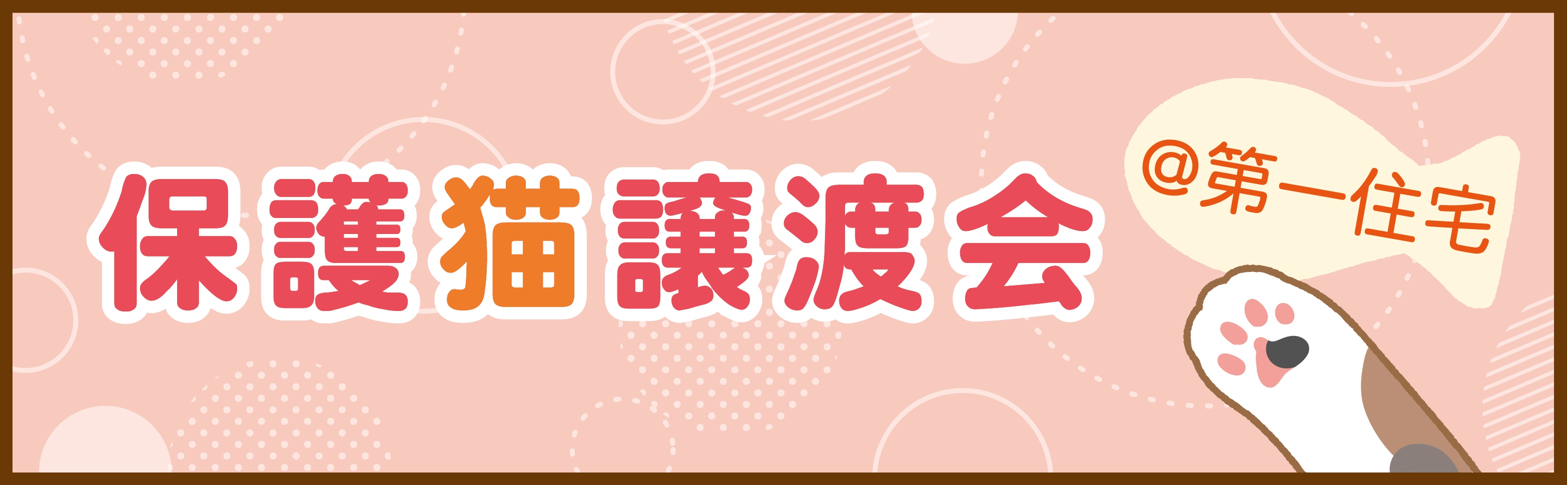 保護猫譲渡会 ＠ 第一住宅