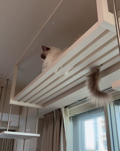 ルーバーウォークの隙間から出る猫のしっぽ