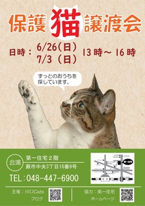 保護猫譲渡会のお知らせ