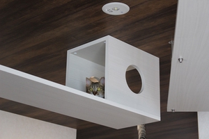  キャットウォーク途中のBOXで休息中の猫