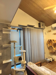 部屋いっぱいのキャットステップ